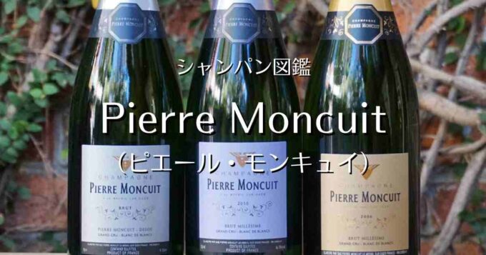 Pierre Moncuit_001