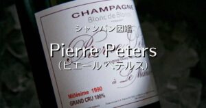 Pierre Peters_002