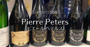 Pierre Peters_003
