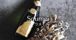 soumei_003