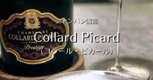 Collard Picard_004