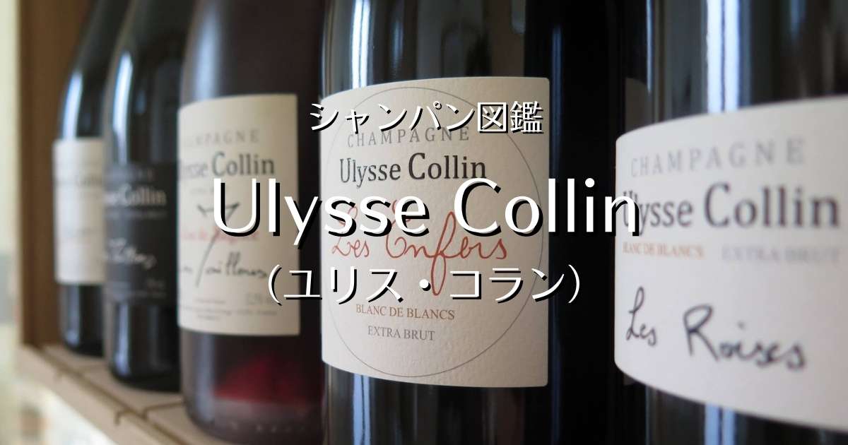Ulysse Collin ユリスコラン レ・ロワーズ NV15 レ ザンフェール