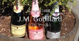 J.M Gobillard_002
