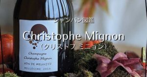 Christophe Mignon_003