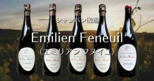 Emilien Feneuil_002